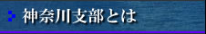 神奈川支部とは